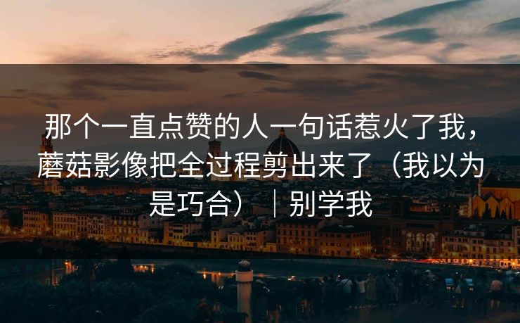 那个一直点赞的人一句话惹火了我，蘑菇影像把全过程剪出来了（我以为是巧合）｜别学我